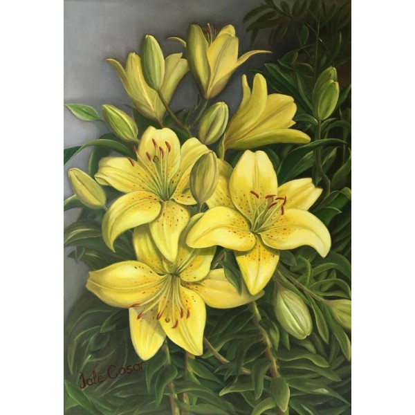 JALE COŞAR 00002 Lily