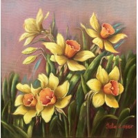 J.C/ Yellow Daffodil