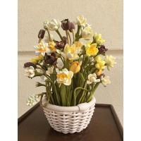 JC Daffodil